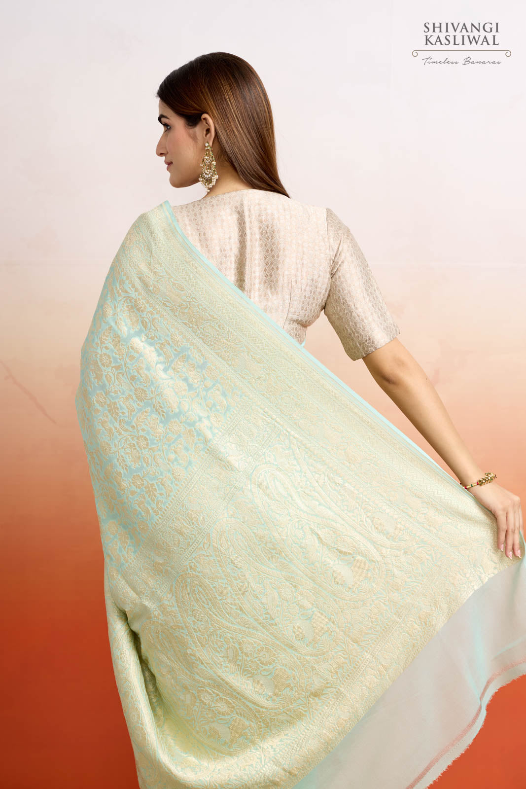 Mint Green Handwoven Banarasi Georgette Saree