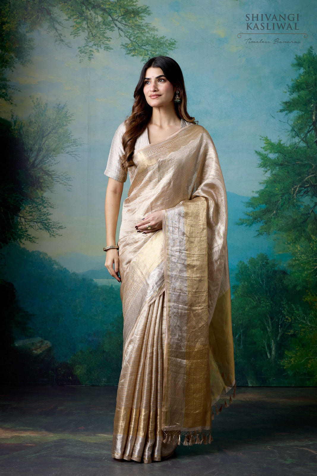 Beige Handwoven Banarasi Tissue Silk Saree