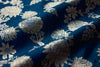 Navy Blue Handwoven Banarasi Raw Silk Fabric