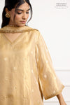 Gold Banarasi Tissue Silk Kurta Set