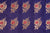 Navy Blue Handwoven Banarasi Silk Fabric