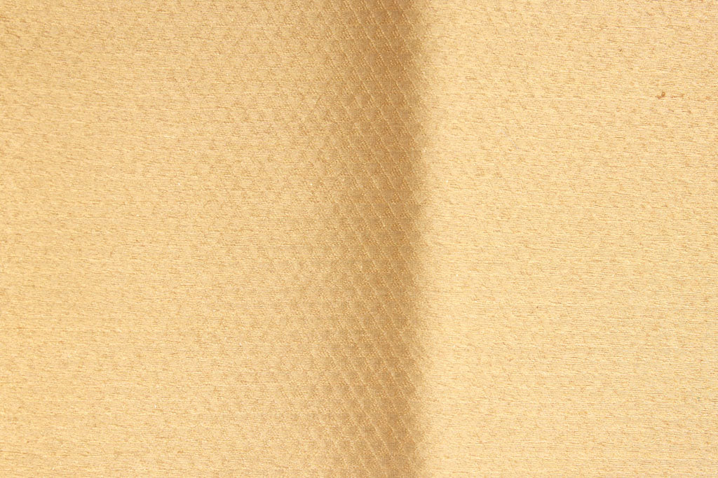 Gold Handwoven Banarasi Tissue Silk Fabric