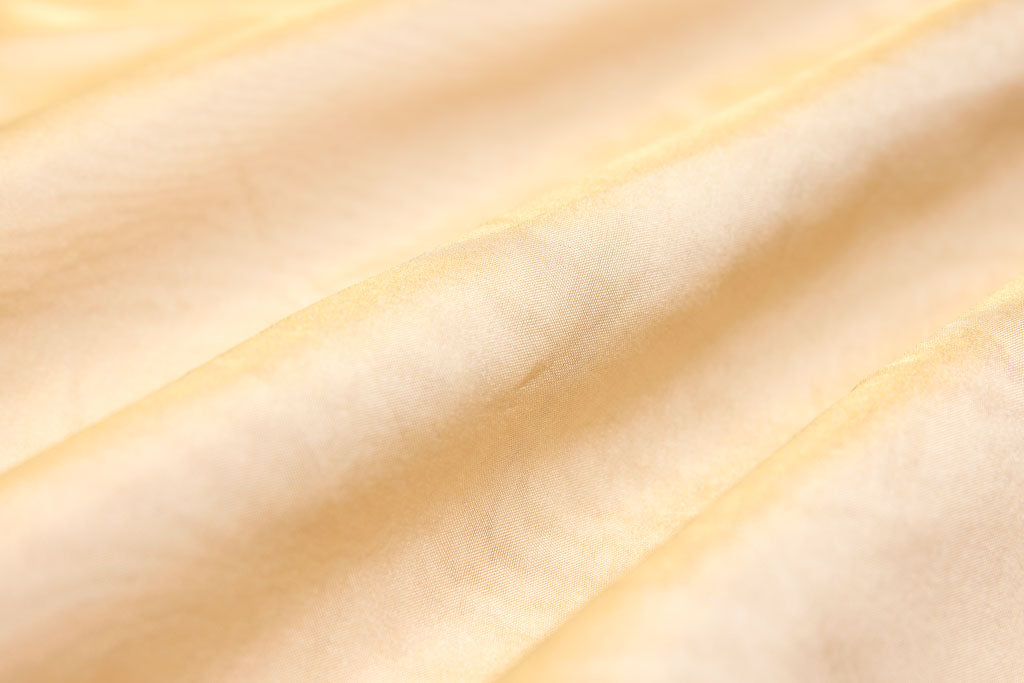 Gold Handwoven Banarasi Tissue Silk Fabric