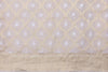 Beige Handwoven Banarasi Tissue Silk Fabric