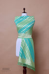 Blue Green Handwoven Banarasi Georgette Dupatta