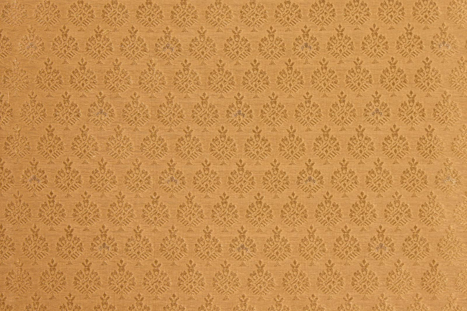 Beige Handwoven Banarasi Brocade Fabric