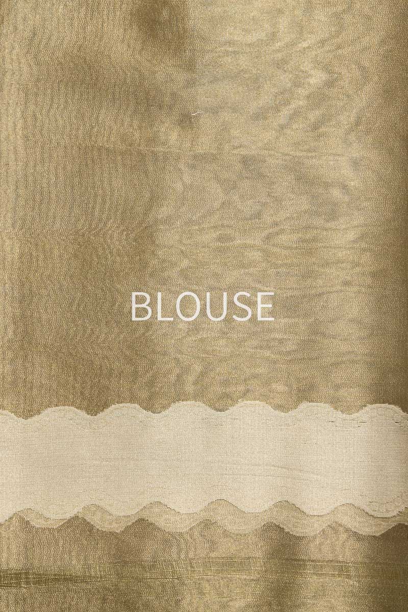 Pista Green Handwoven Banarasi Net Tissue Silk Saree