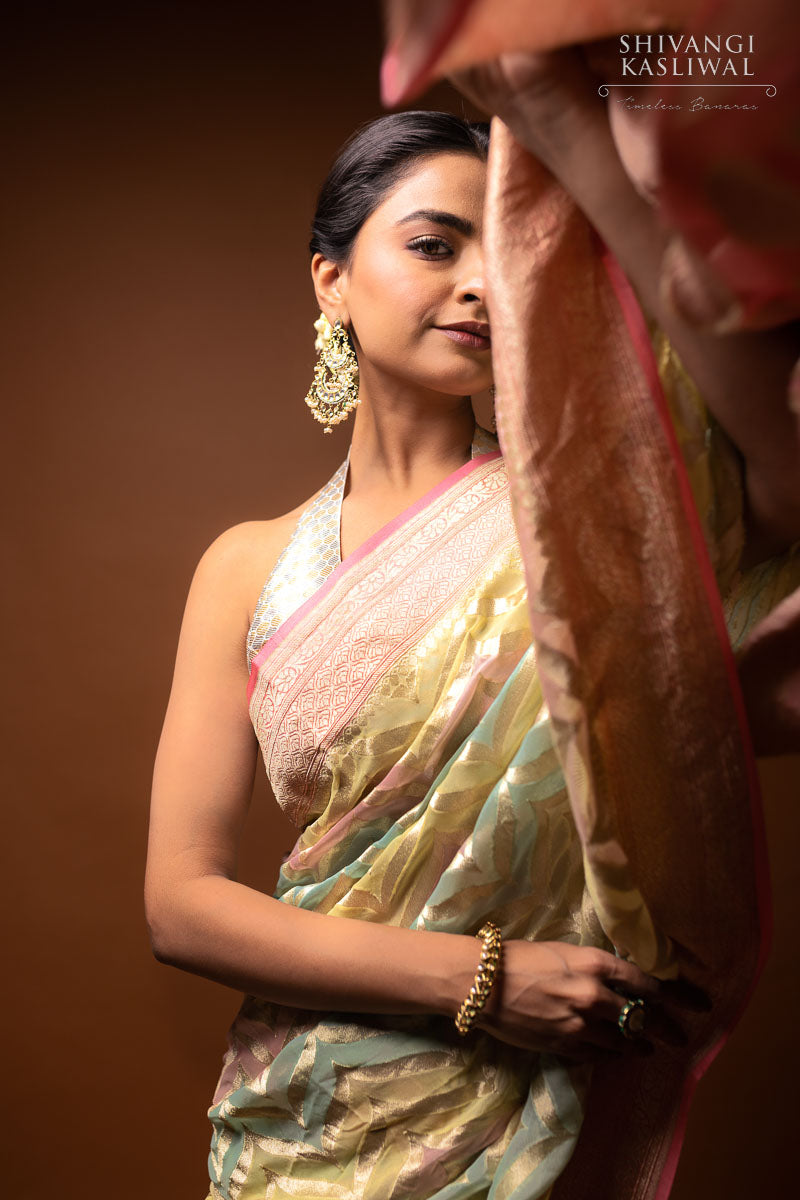 Multicolor Handwoven Banarasi Georgette Saree