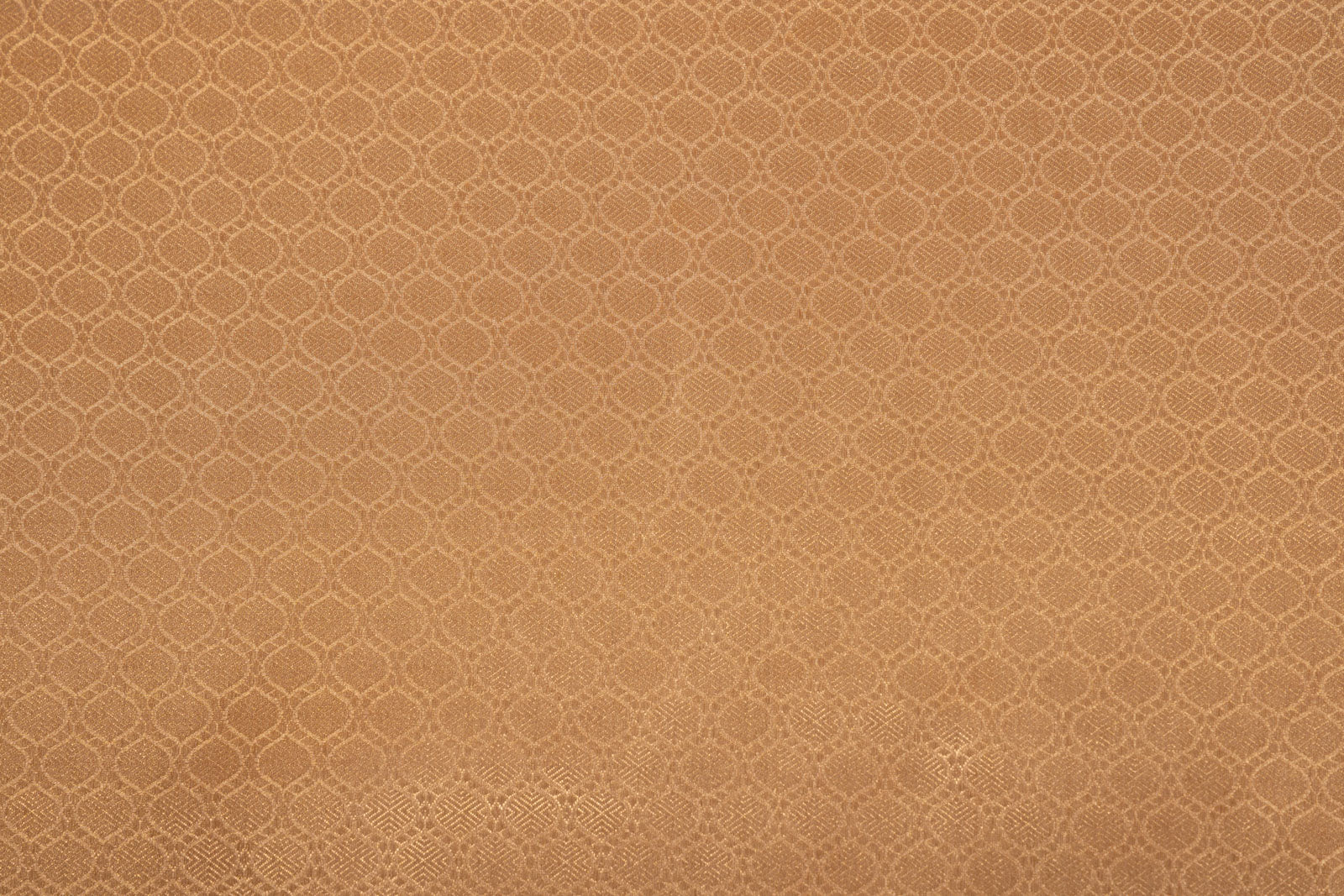 Gold Handwoven Banarasi Tissue Silk Fabric