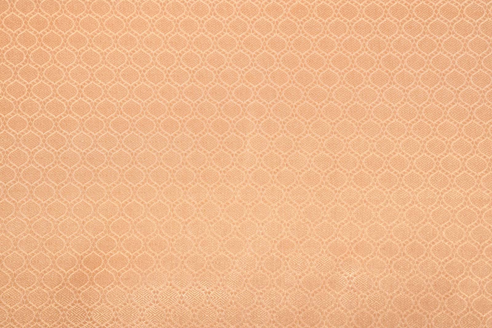 Beige Gold Handwoven Banarasi Tissue Silk Fabric