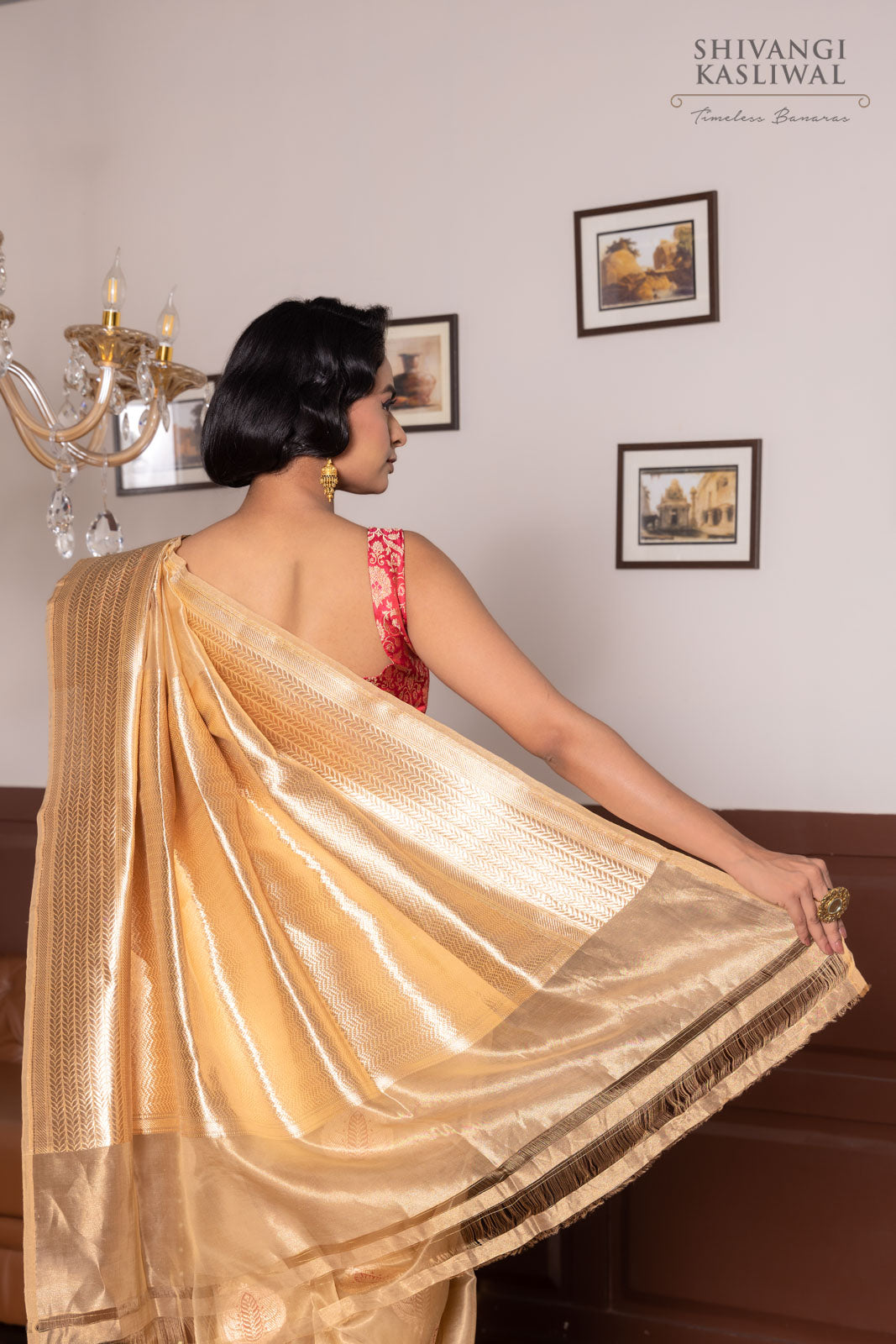 Gold  Handwoven Banarasi Kadhua Tissue Silk Saree