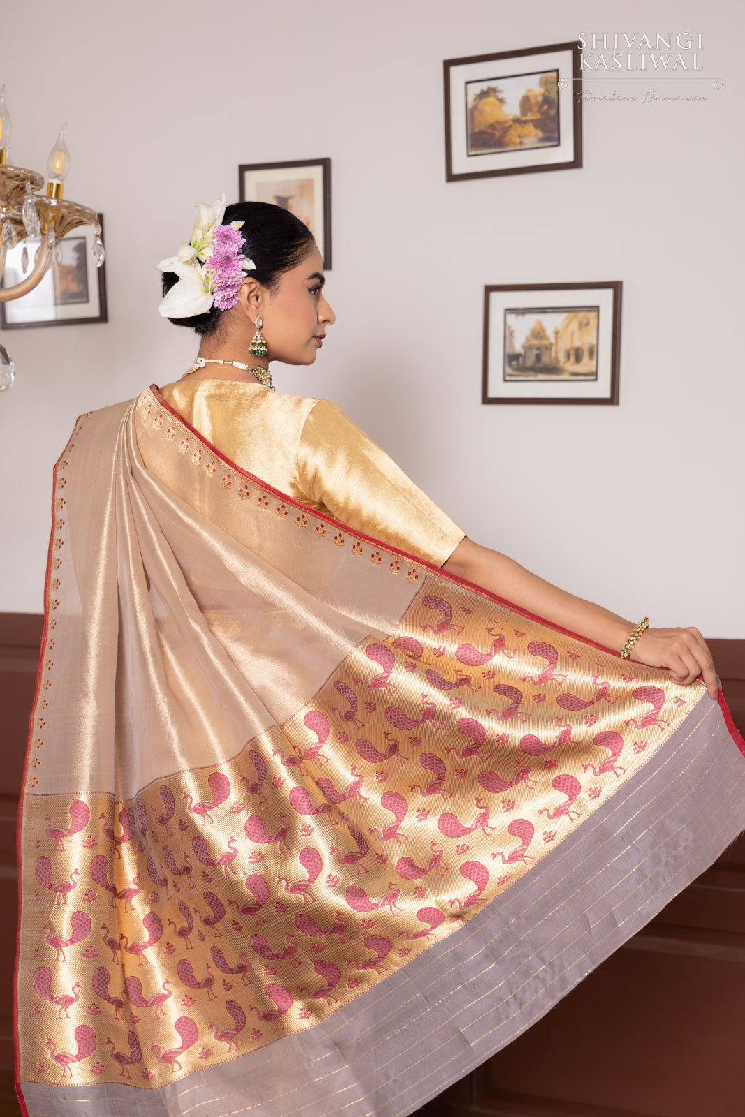 Grey Handwoven Banarasi Tissue Silk Saree