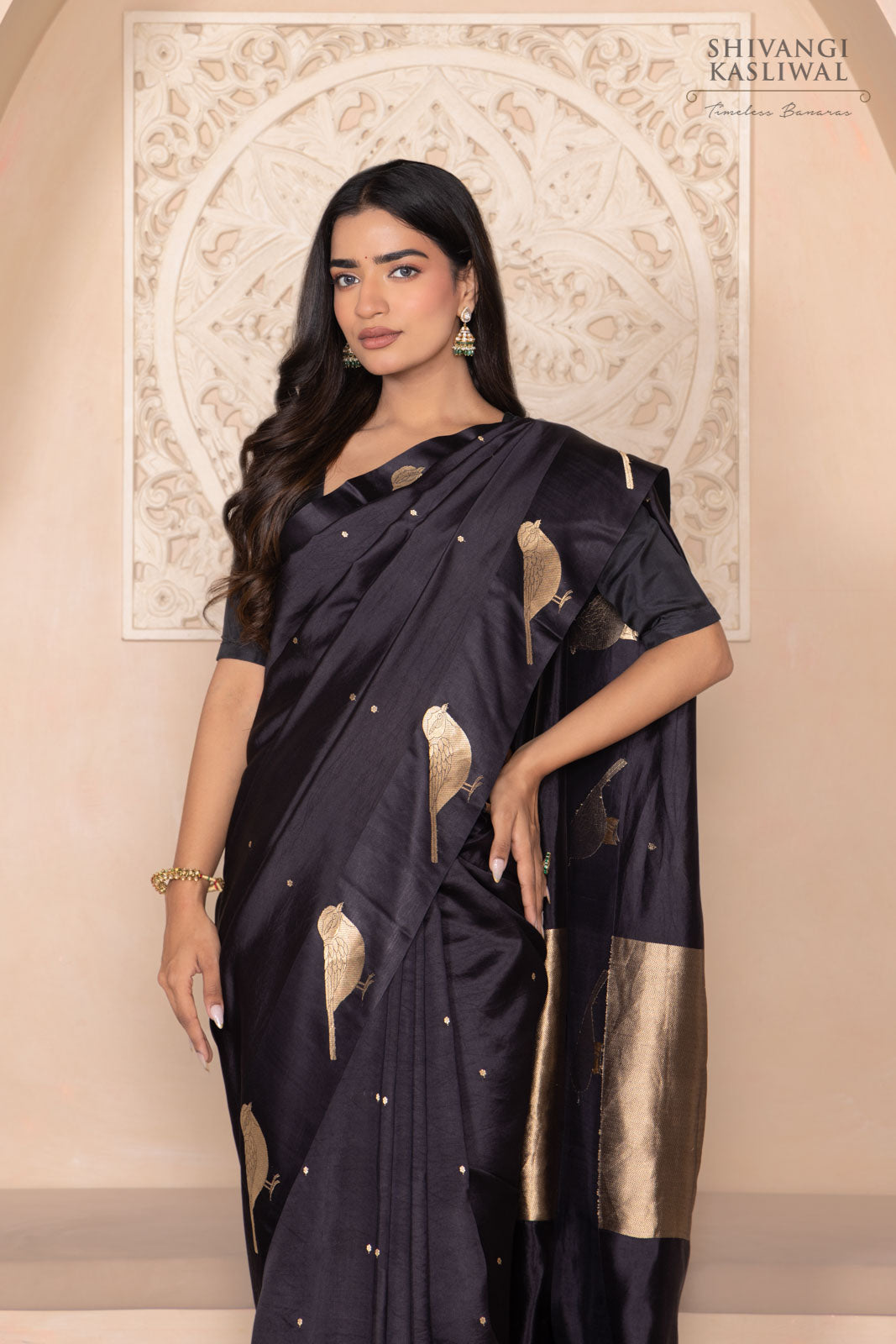 Black Handwoven Banarasi Pure Silk Saree