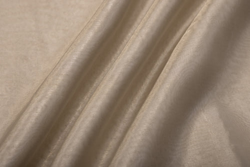 Silver Handwoven Banarasi Tissue Silk Fabric