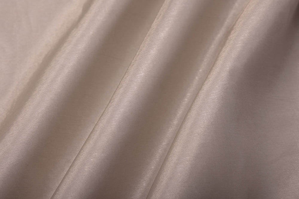 Silver Handwoven Banarasi Tissue Silk Fabric