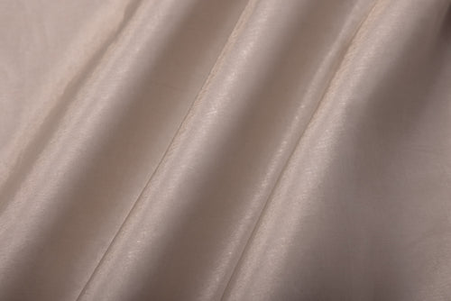 Silver Handwoven Banarasi Tissue Silk Fabric