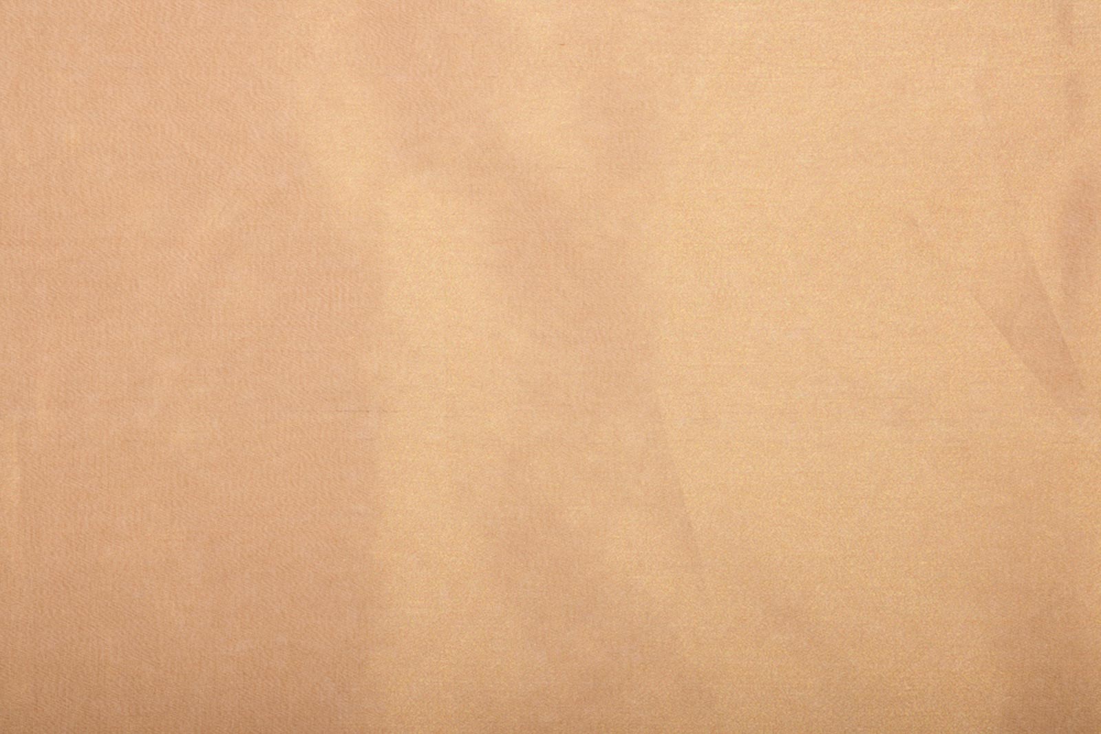 Gold Handwoven Banarasi Tissue Silk Fabric