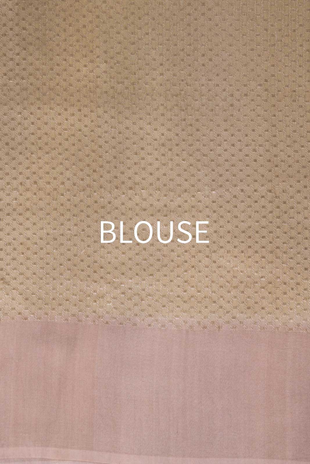 Pearl Champagne Handwoven Banarasi Tussar Georgette Saree