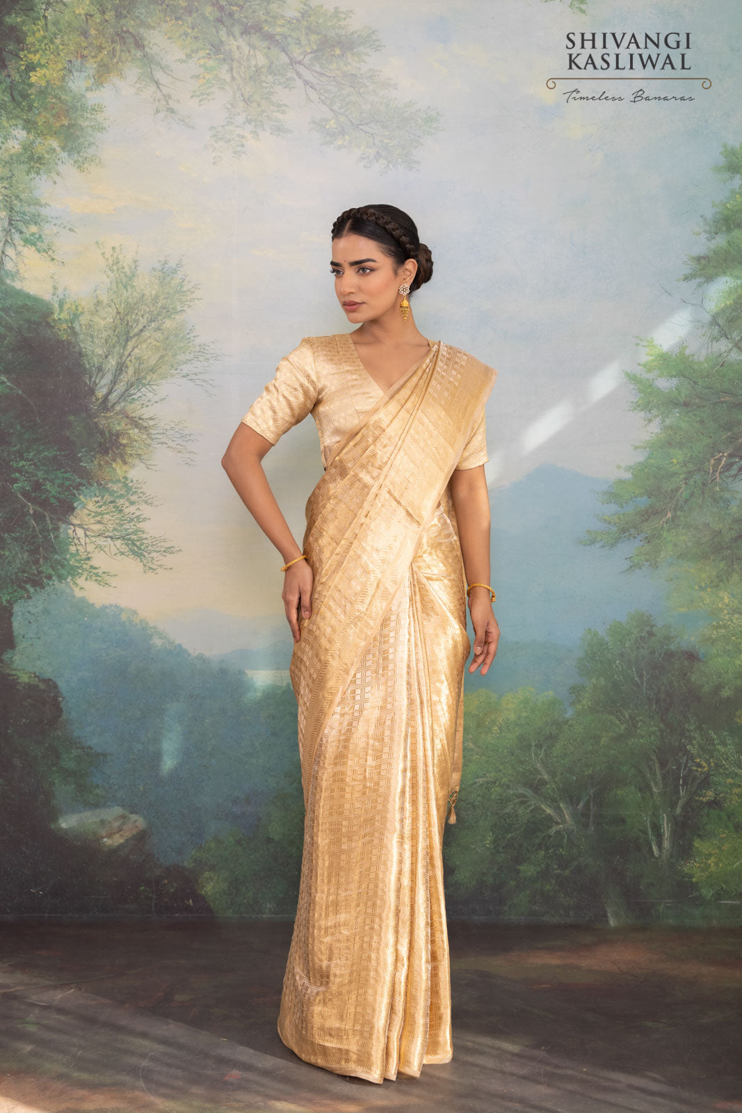 Beige Handwoven Banarasi Tissue Silk Saree