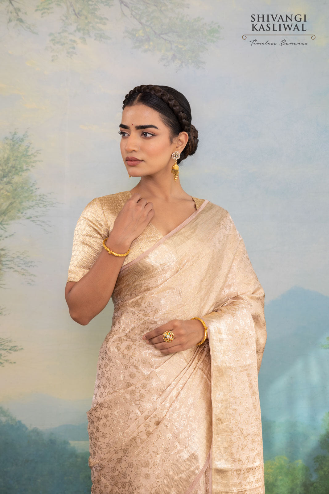 Beige Handwoven Banarasi Tissue Silk Saree