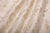 Off-White Handwoven Banarasi Chiniya Silk Fabric