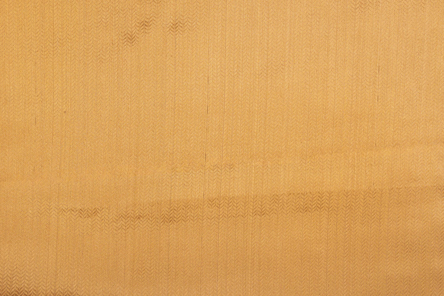 Gold Handwoven Banarasi Tissue Silk Fabric