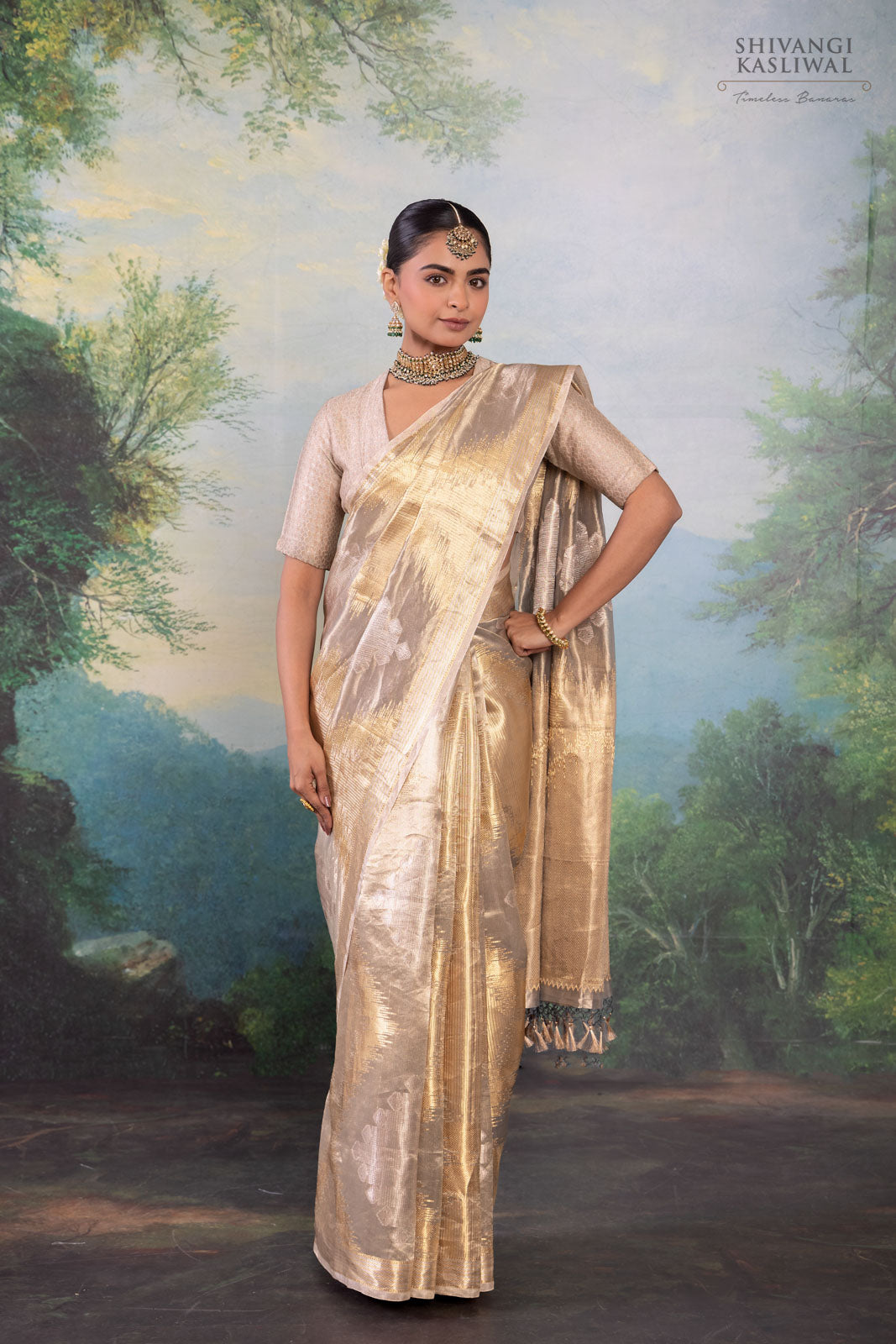 Grey Handwoven Banarasi Tissue Silk Saree