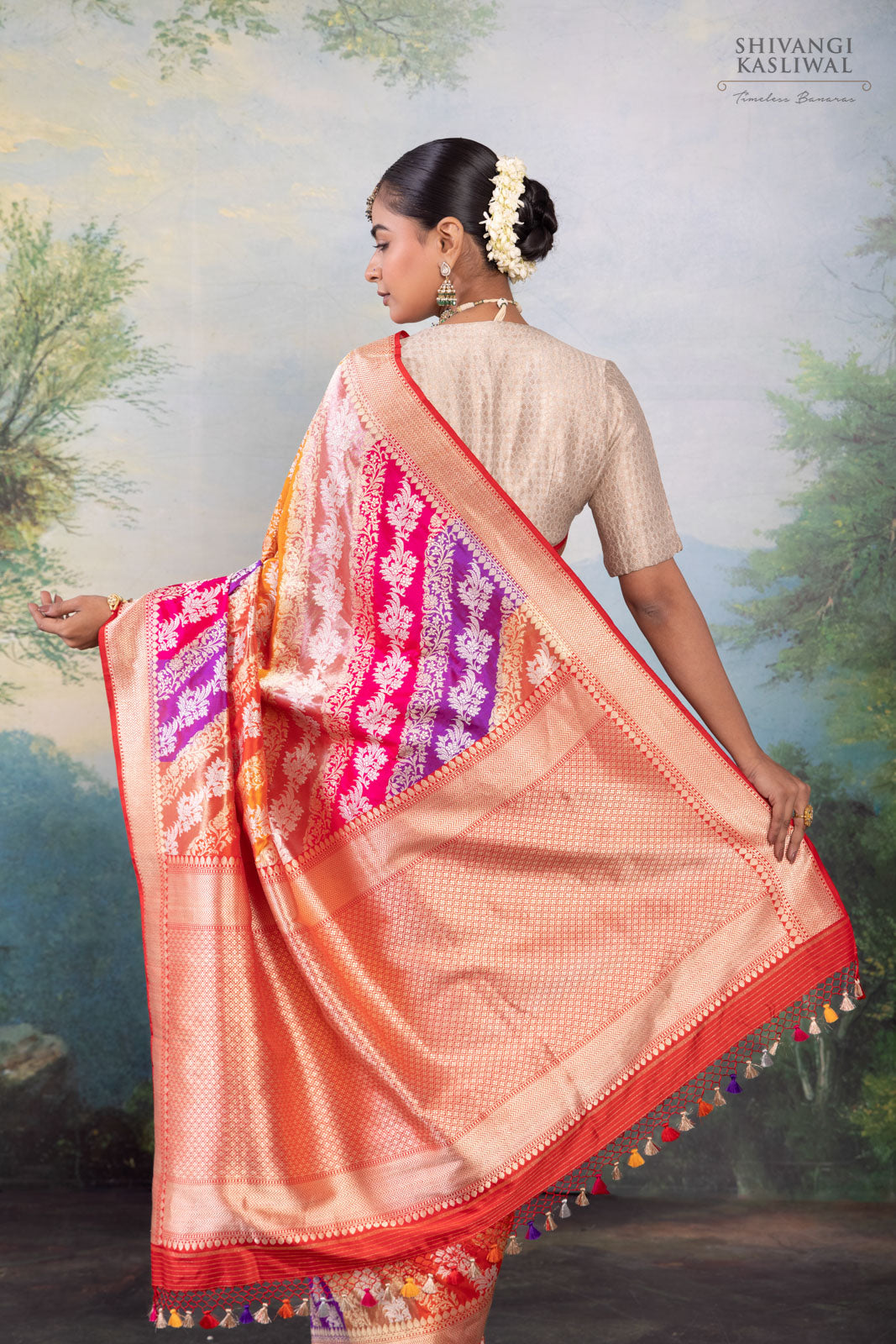 Multicolor Rangkat Handwoven Banarasi Kadhua Silk Saree