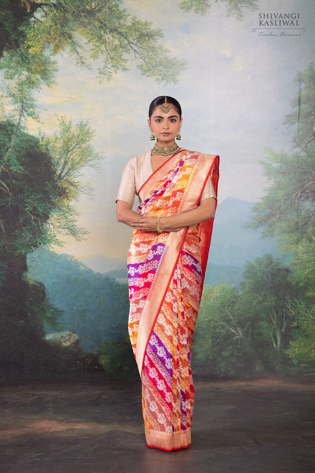 Multicolor Rangkat Handwoven Banarasi Kadhua Silk Saree