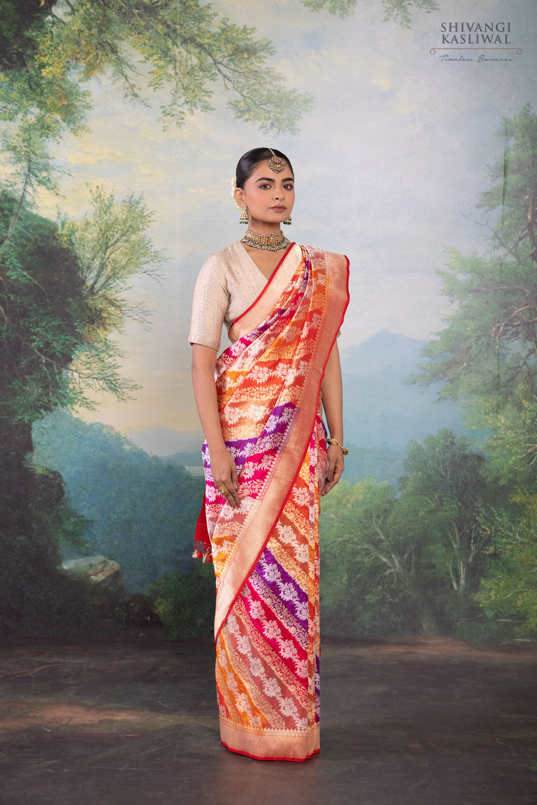 Multicolor Rangkat Handwoven Banarasi Kadhua Silk Saree