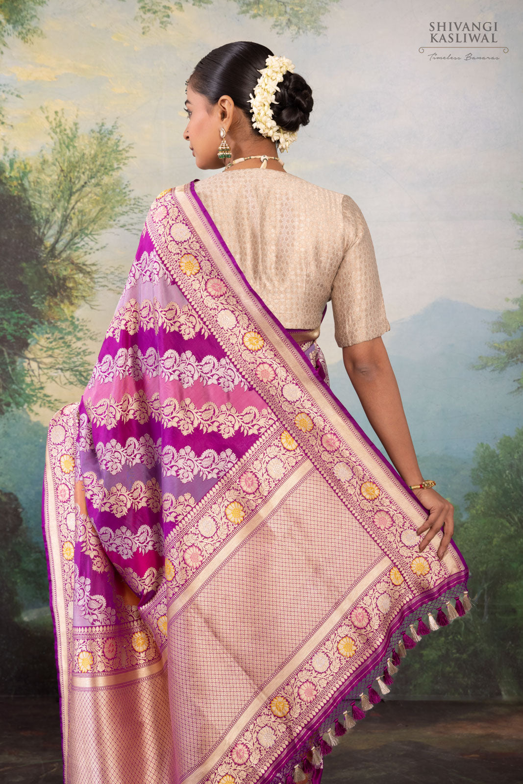 Multicolor Rangkat Handwoven Banarasi Kadhua Silk Saree