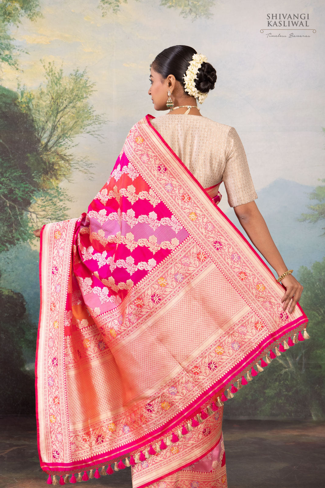 Multicolor Rangkat Handwoven Banarasi Kadhua Silk Saree