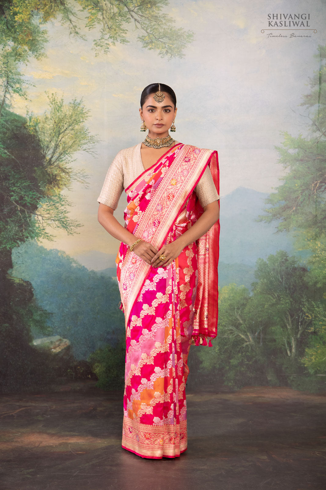Multicolor Rangkat Handwoven Banarasi Kadhua Silk Saree