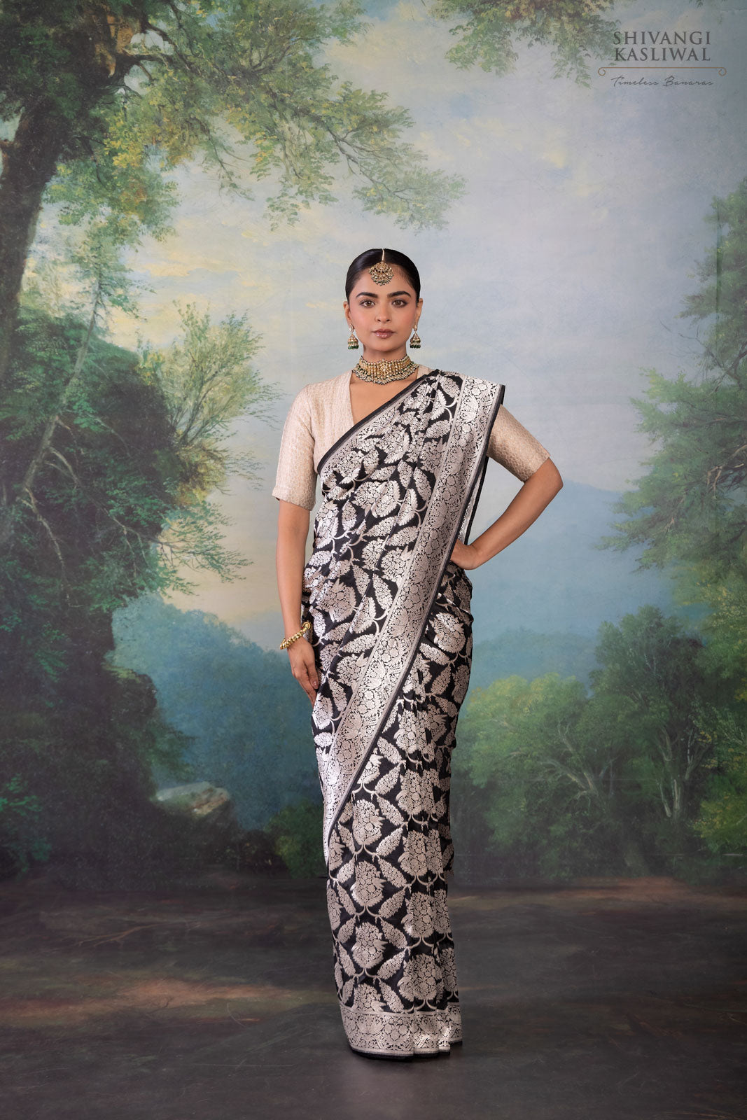 Black Handwoven Banarasi Silk Saree