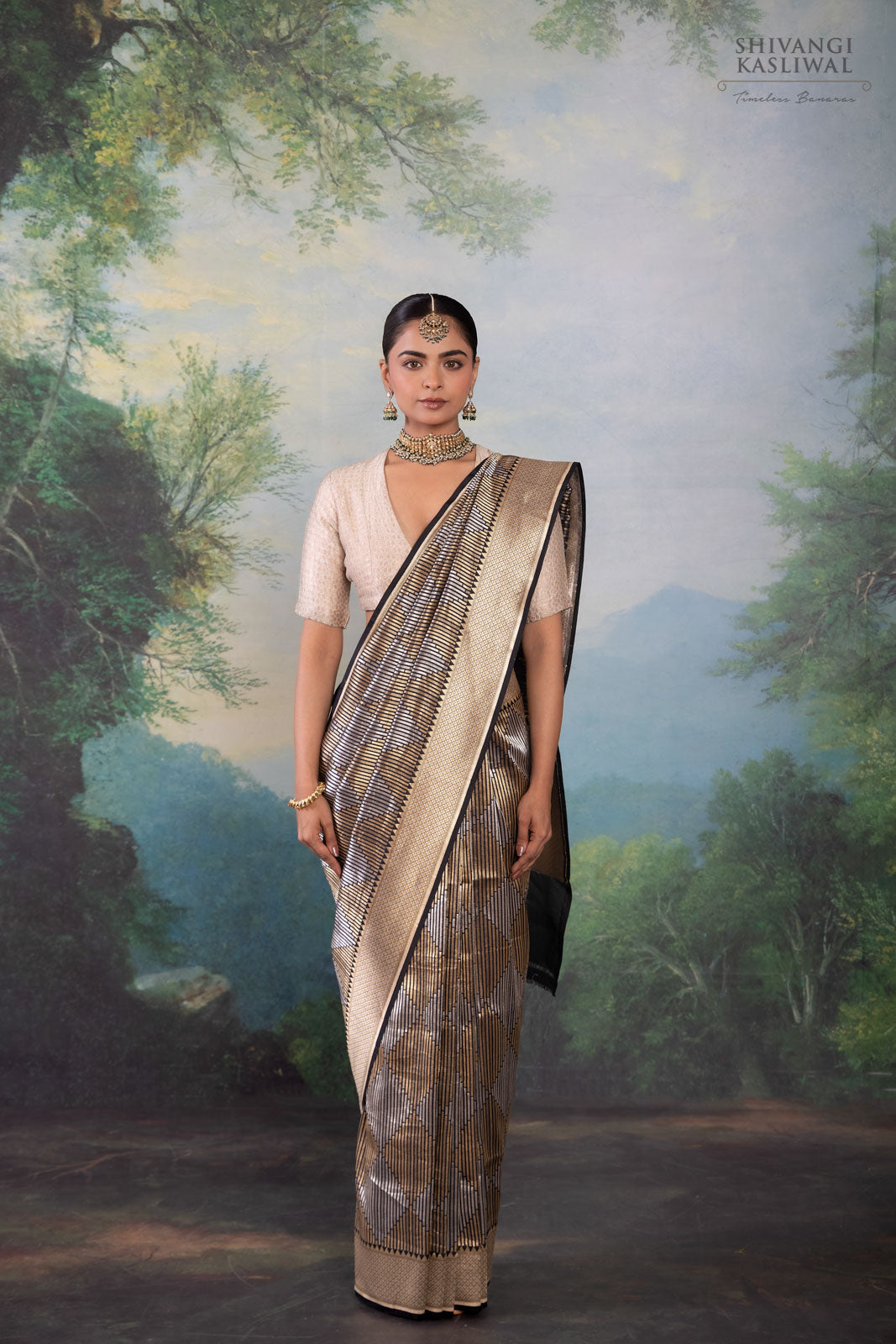 Black Handwoven Banarasi Silk Saree