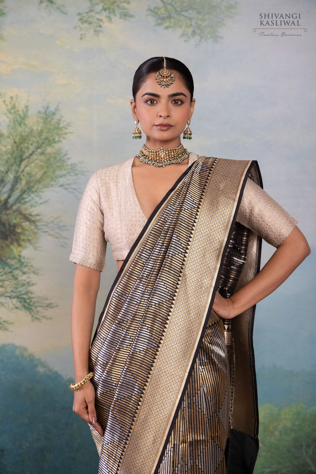 Black Handwoven Banarasi Silk Saree