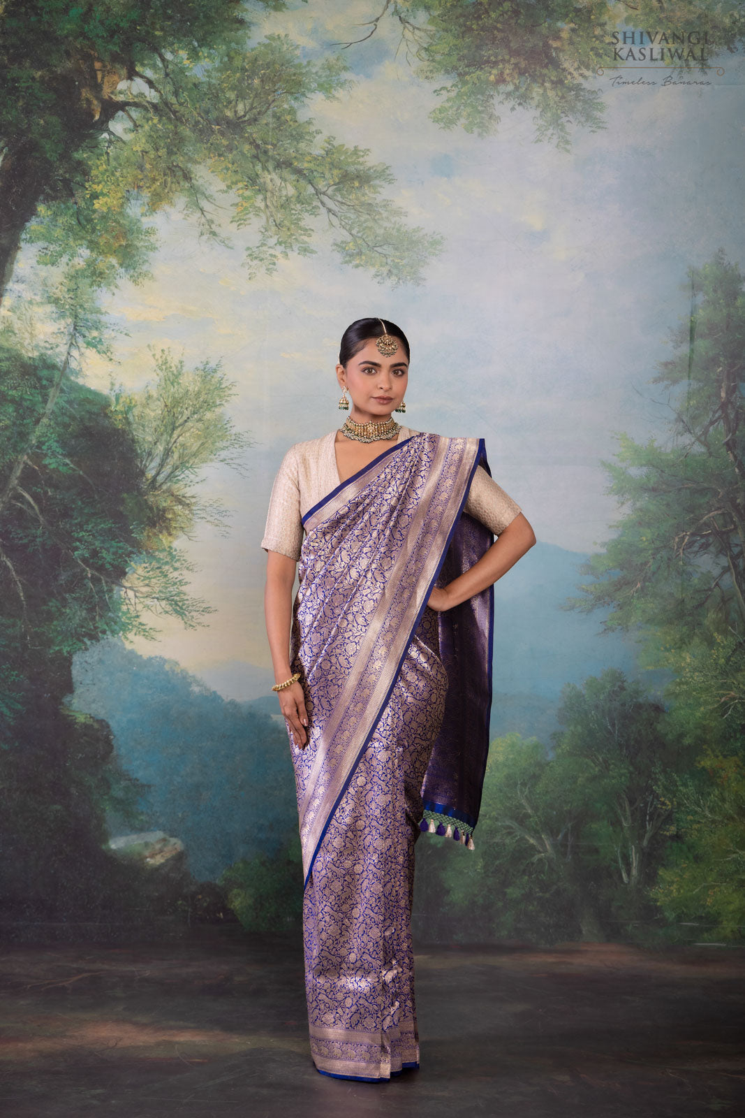 Blue Handwoven Banarasi Silk Saree