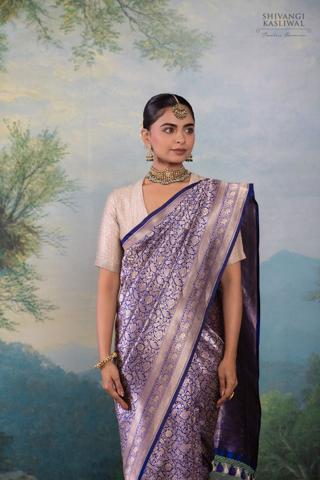 Blue Handwoven Banarasi Silk Saree