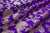 Bluish Purple Handwoven Banarasi Silk Fabric