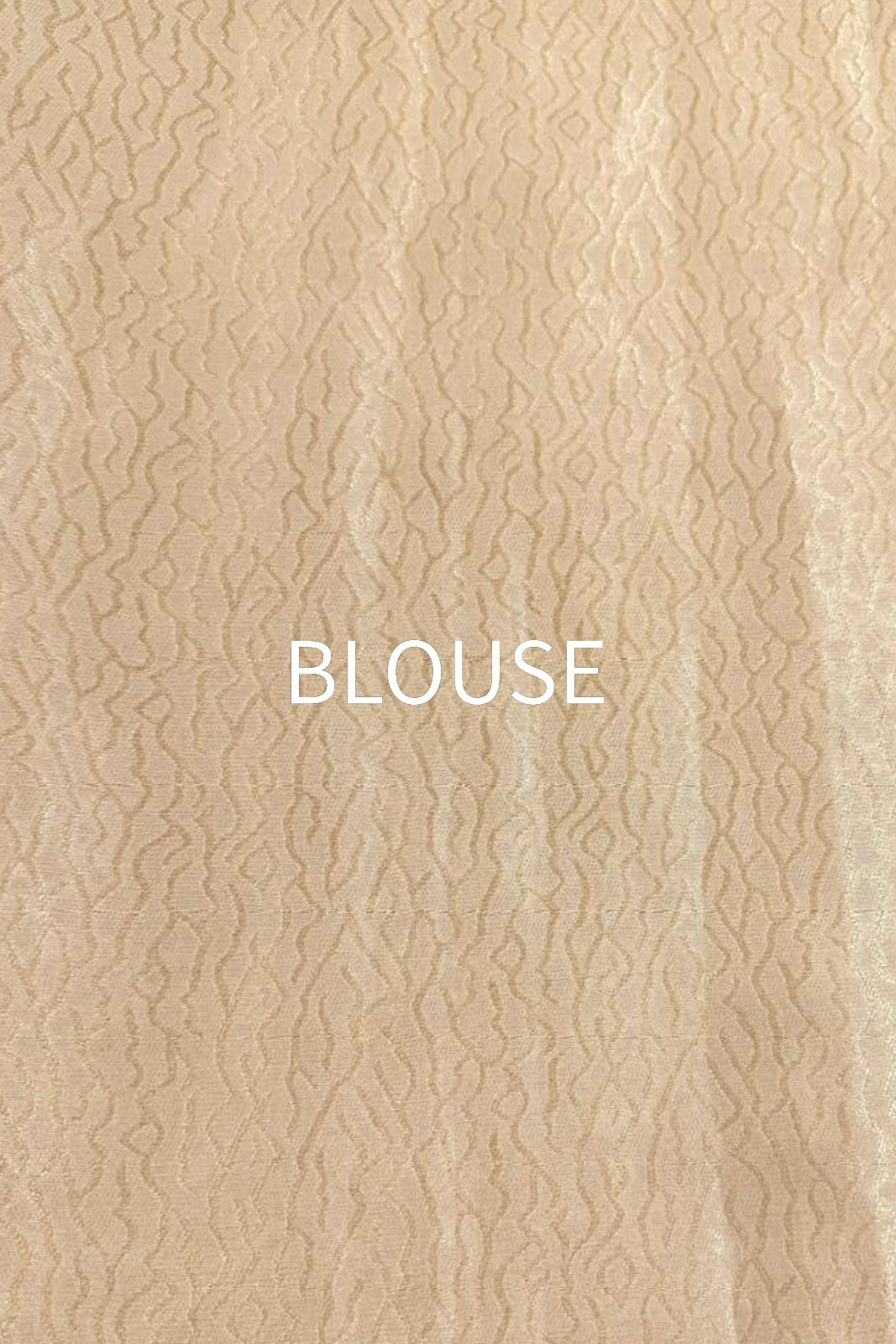 Beige Handwoven Banarasi Silk Saree