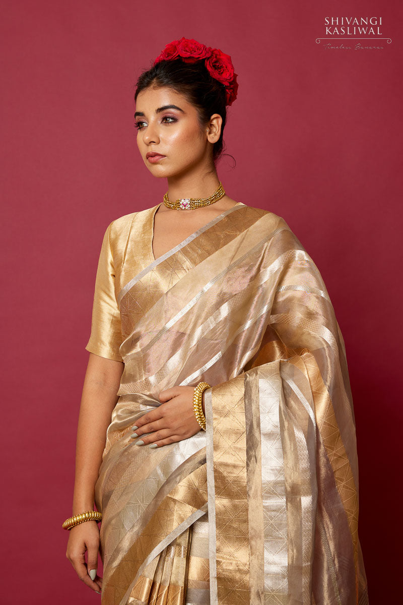 Shaded Grey Handwoven Banarasi Tissue Silk Saree