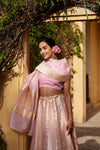 Baby Pink Banarasi Organza Silk Lehenga