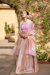 Baby Pink Banarasi Organza Silk Lehenga