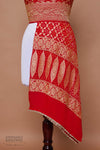 Red Handwoven Banarasi Georgette Bandhani Dupatta